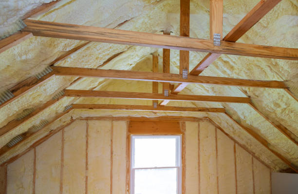 Best Eco-Friendly Insulation in Cochituate, MA